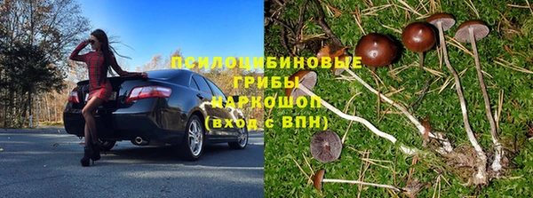 марки lsd Белокуриха