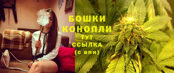 эйфоретик Беломорск