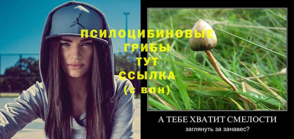 ALPHA PVP Белоозёрский